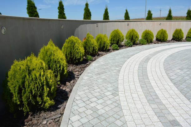 Best Residential Paver Driveway  in Mandeville, LA